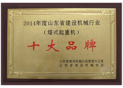 Qualifications and Honors